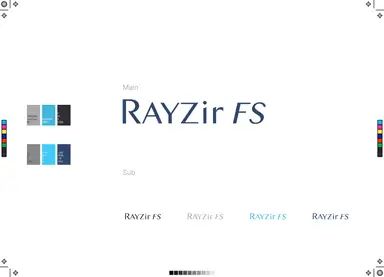 RAYZirFS Basic